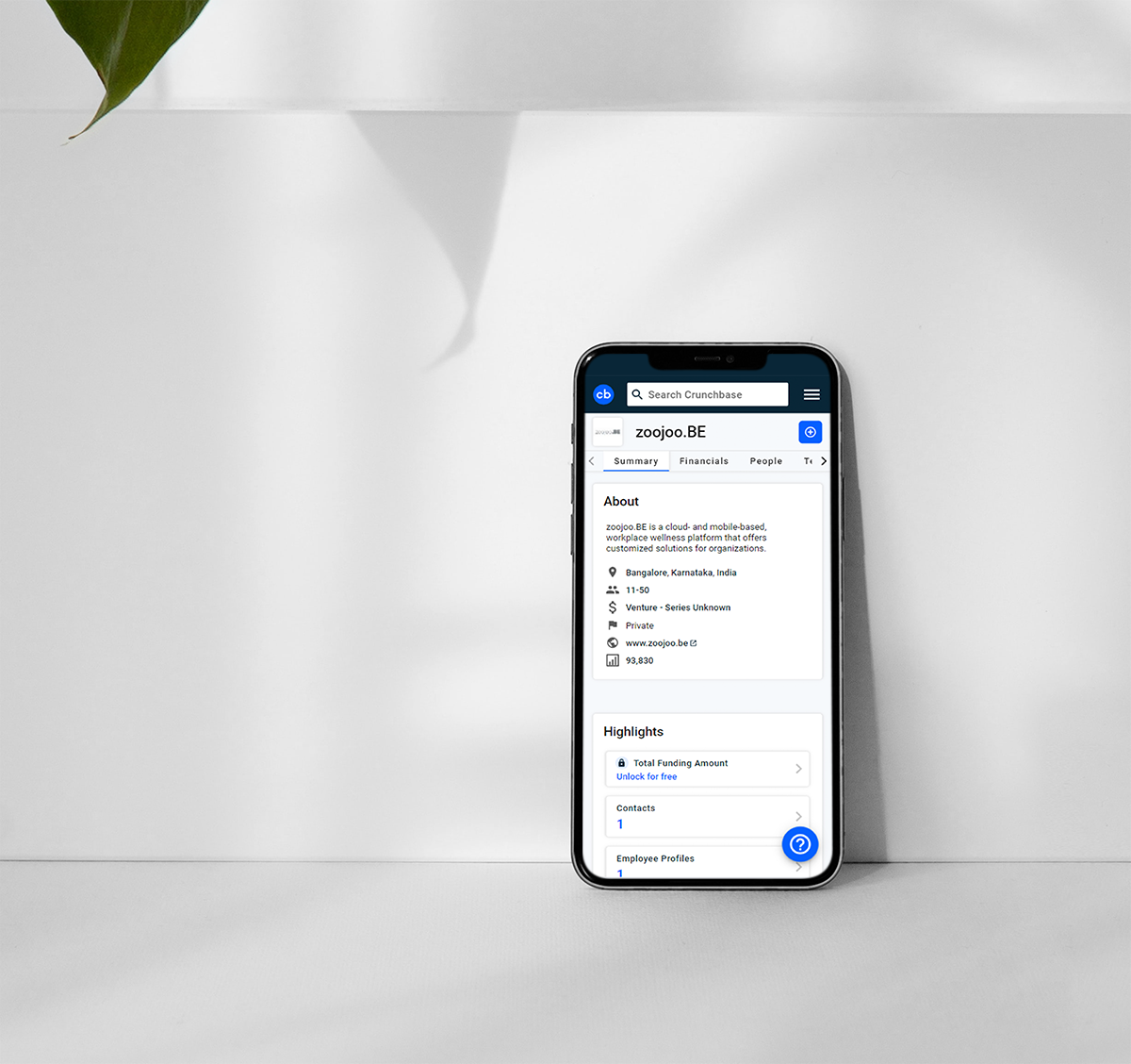 Zoojoo.Be%20Mockup